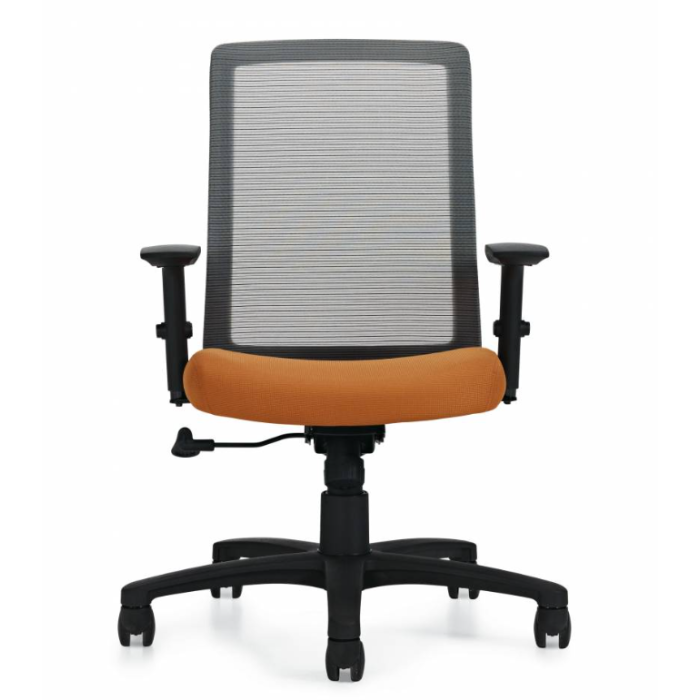  Task Chair | Spritz Tilter with Arms and Five Star Base