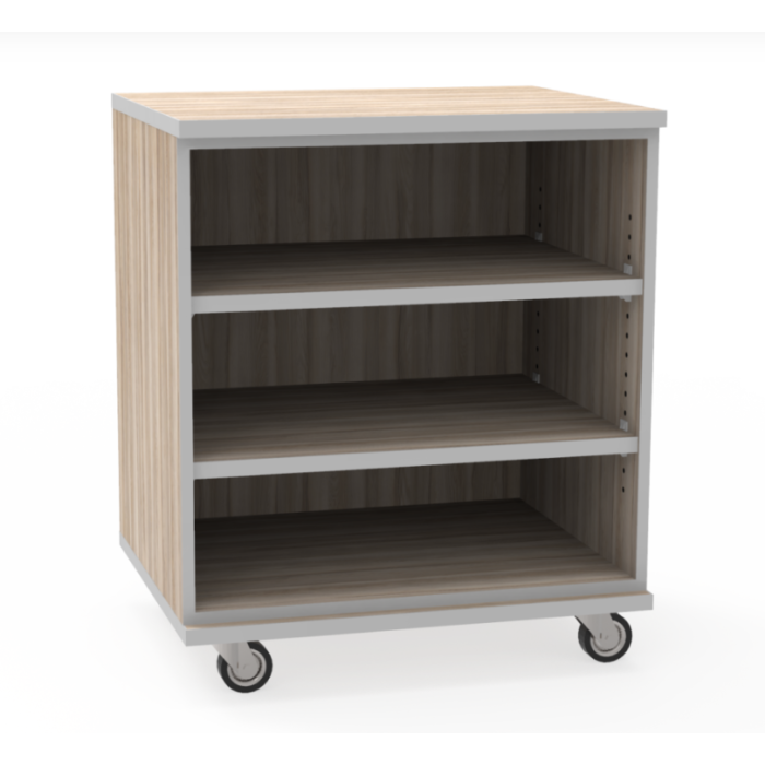 Shelving | 2 Adjustable Shelves | Mobile