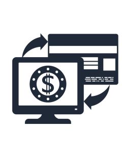 Make an Online Payment